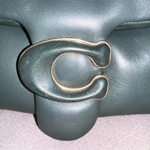 Coach, pillow tabby - Picture 2 of 7